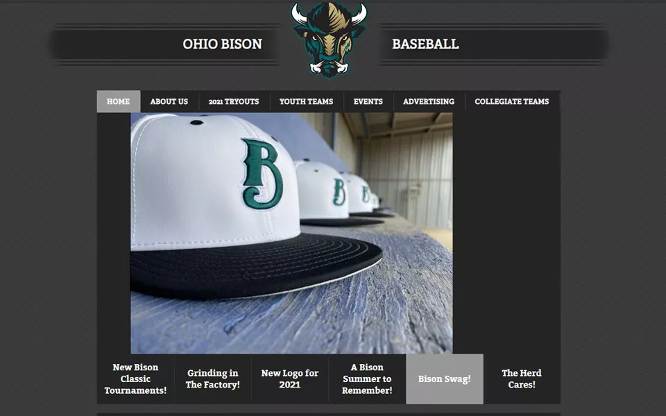Screenshot of the Bison Baseball website
